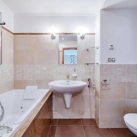Wellness House Ladova Street Holiday home Marianske Lazne